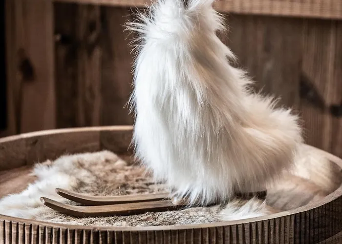 Daire Brume - By Emerald *